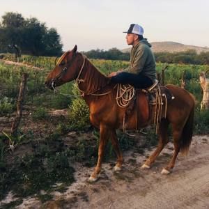 Meet your Posher, Juan